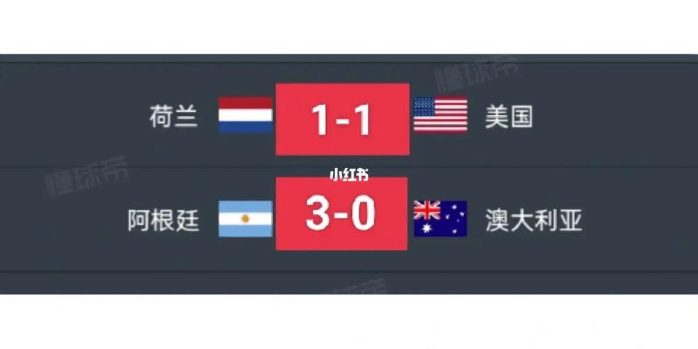 美国vs荷兰比分多少